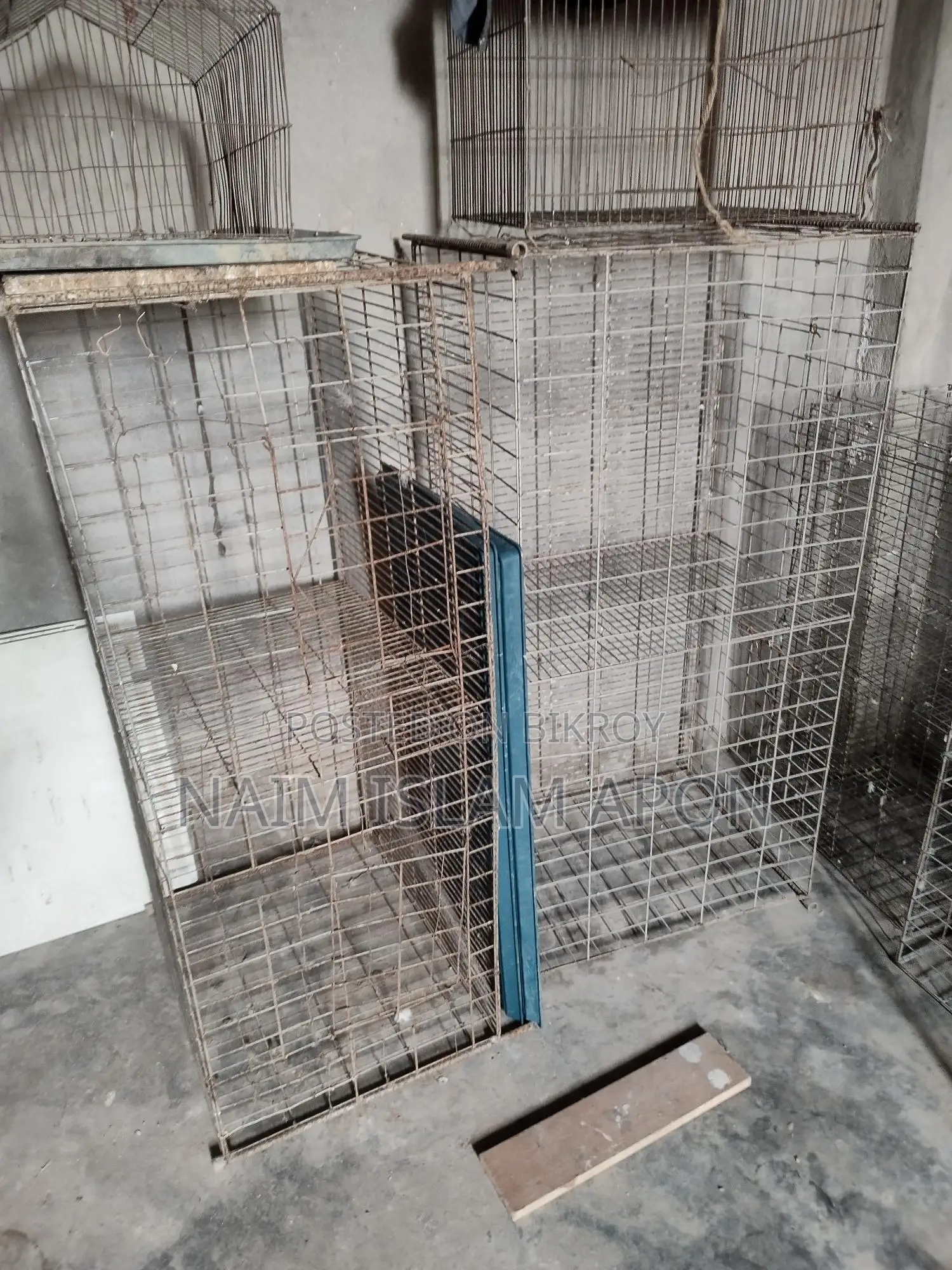 Pigeon Cage