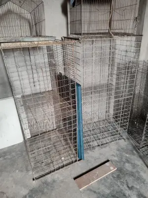 Pigeon Cage