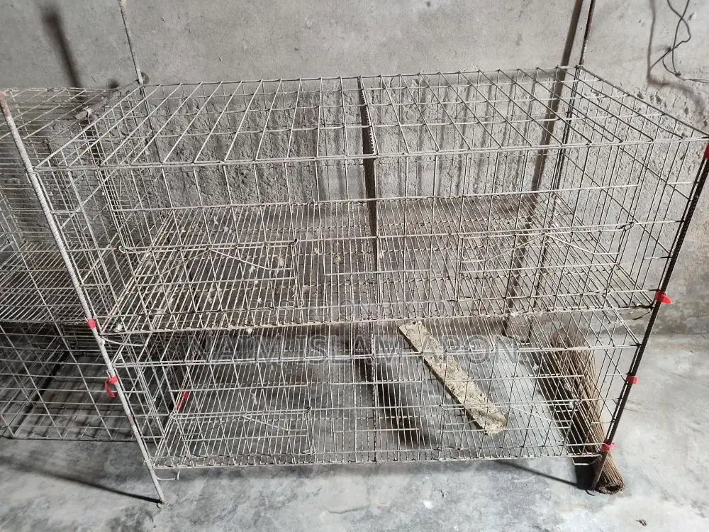 Pigeon Cage