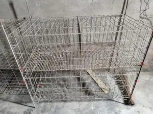 Pigeon Cage