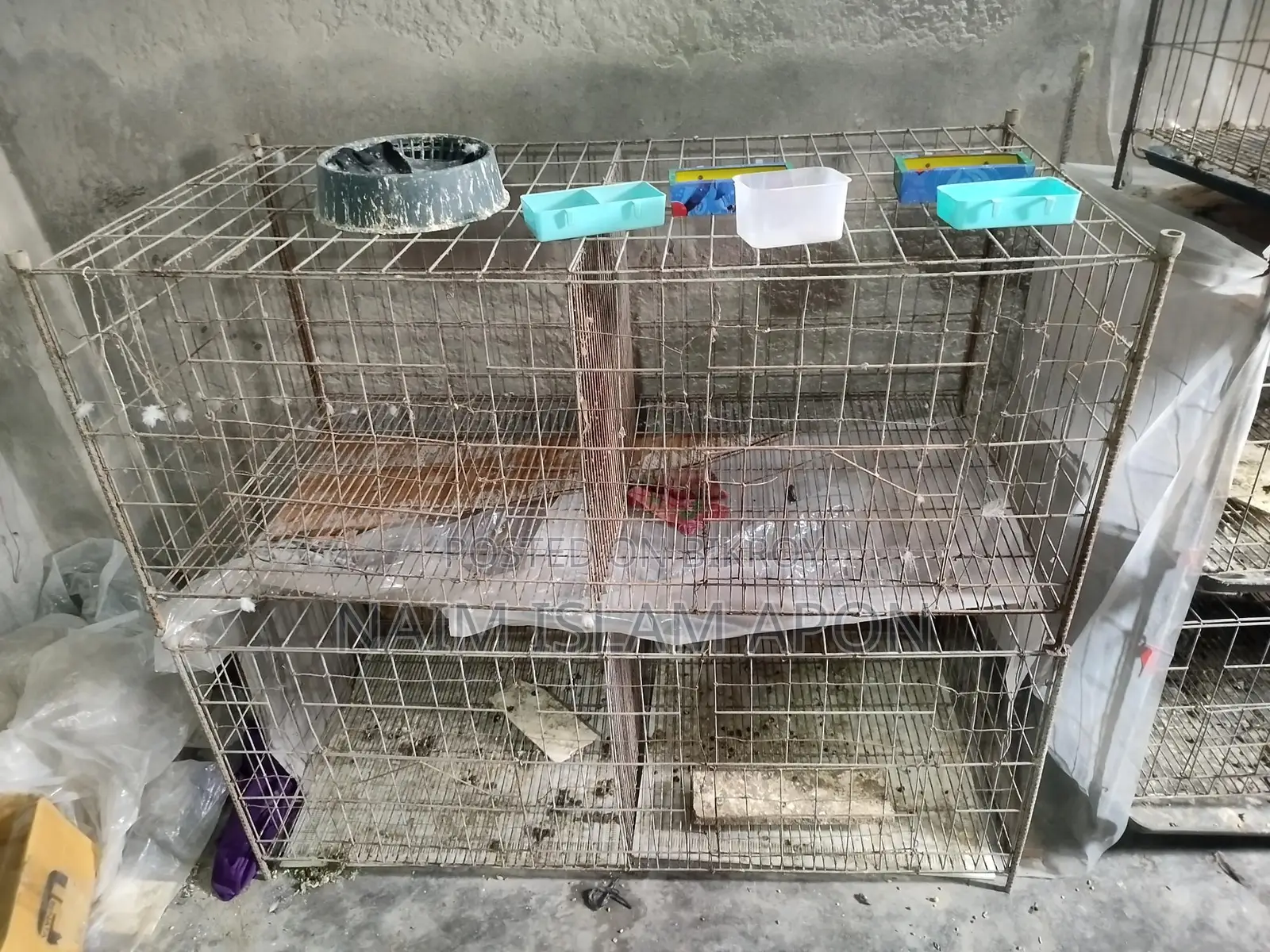 Pigeon Cage