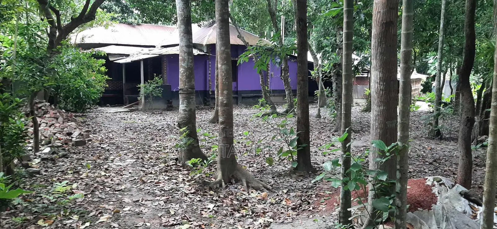 8 decimal land with house for sale in Lohagara.