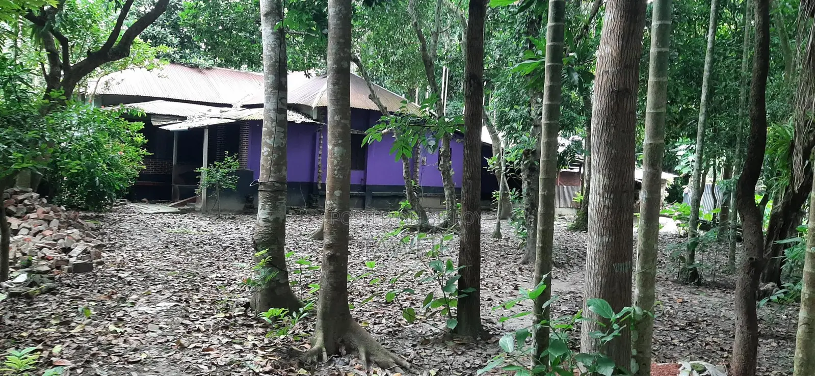 8 decimal land with house for sale in Lohagara.