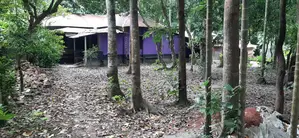 8 decimal land with house for sale in Lohagara.