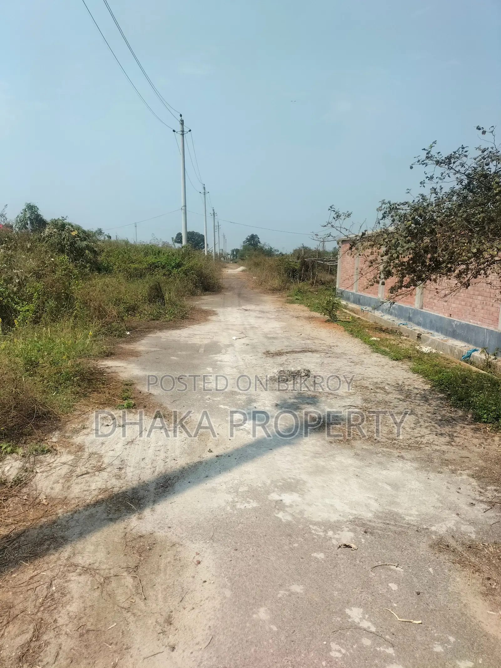 5 Katha North-Facing Land Near 300ft Road, Sector 7