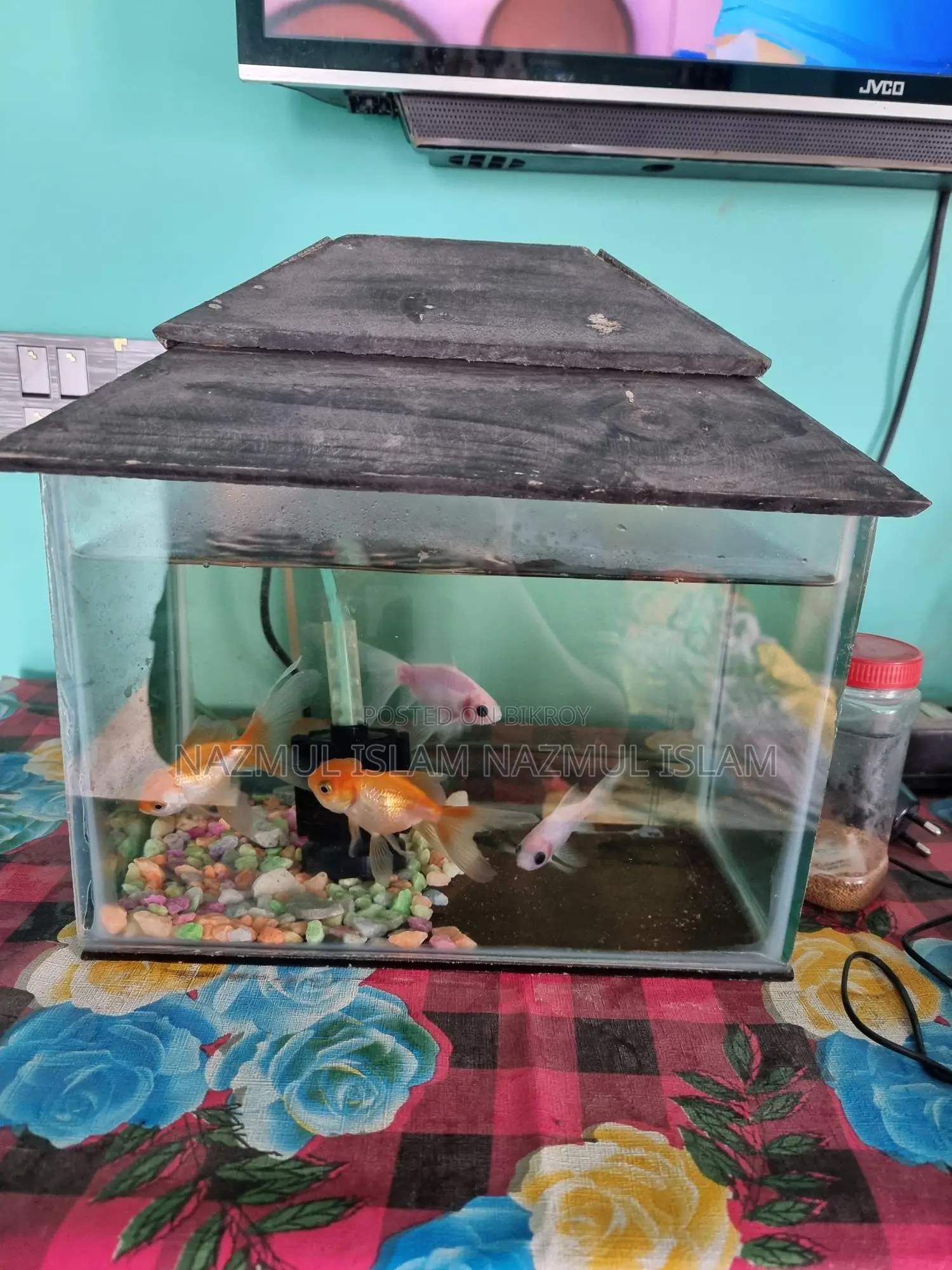 Full fresh Fish aquarium