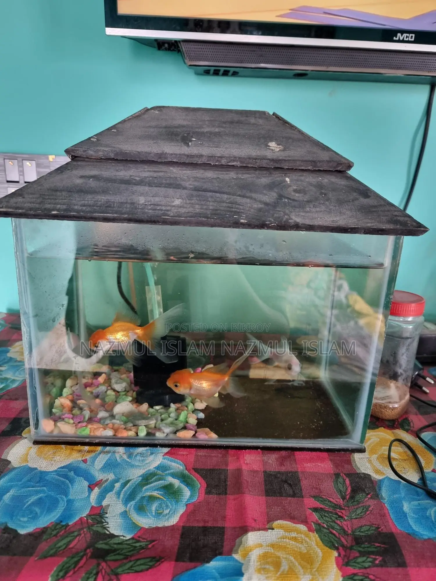 Full fresh Fish aquarium