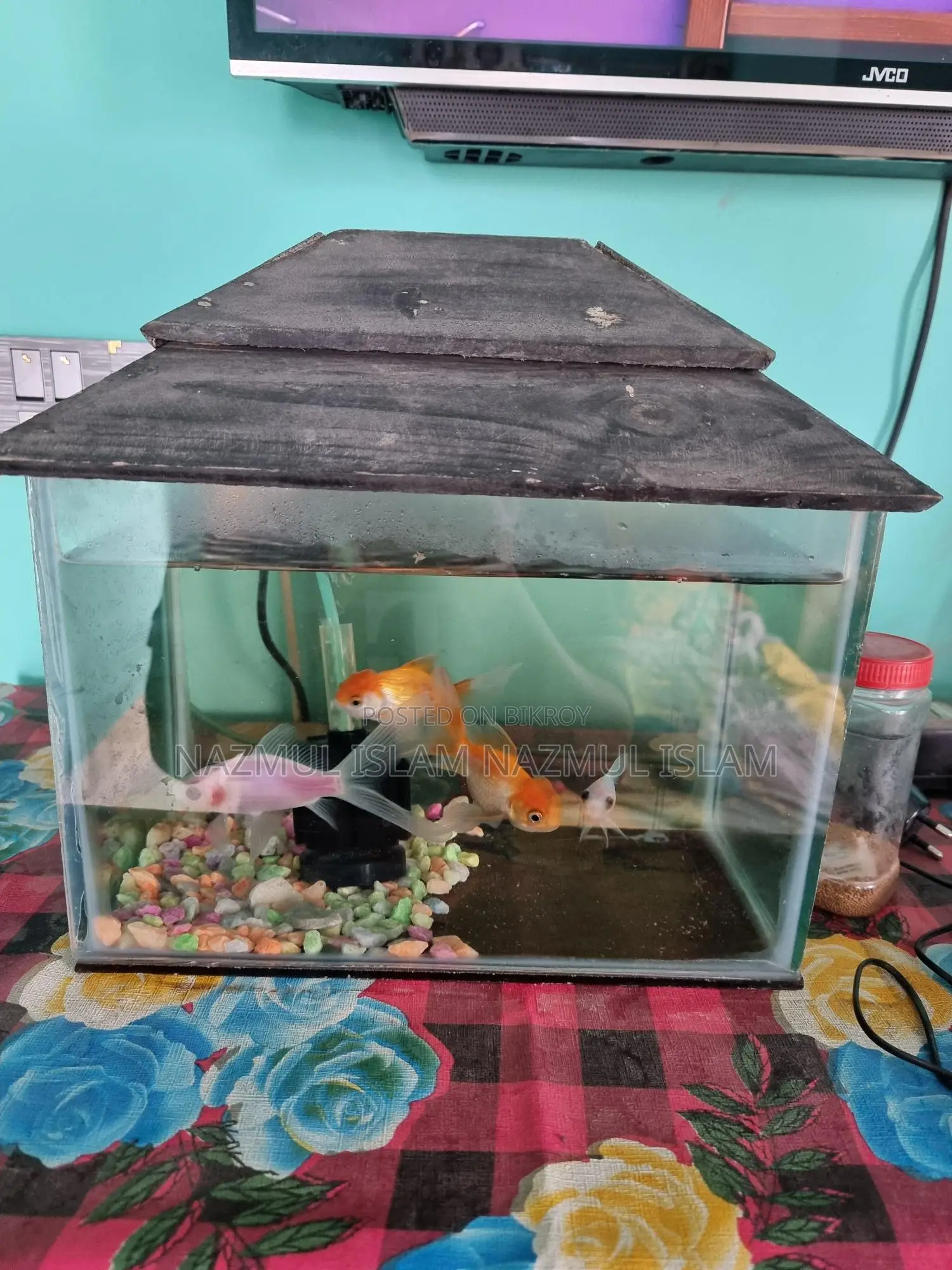 Full fresh Fish aquarium