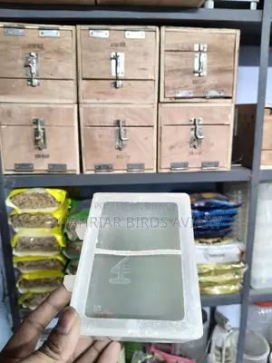 পাখি ও কবুতরের খাবারের পাত্র