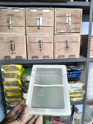 পাখি ও কবুতরের খাবারের পাত্র