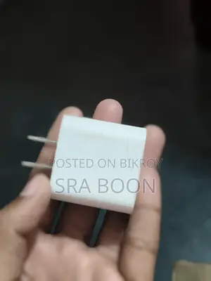 Apple Charger