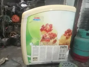 Singer Ice Cream Deep Freezer
