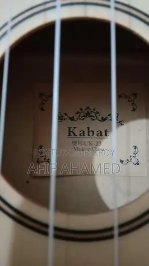 Ukulele Guitar