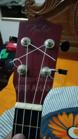 Ukulele Guitar
