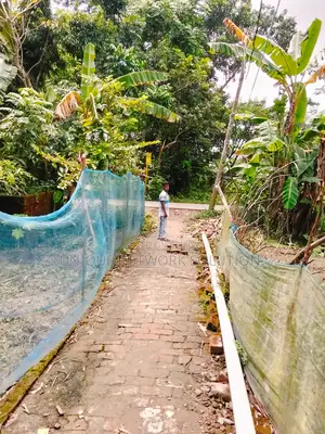 টিনশেড বাড়ি বিক্রয়