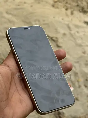 Apple iPhone 12 Pro (Used)