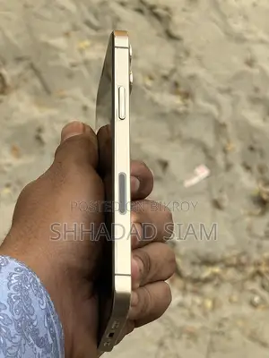 Apple iPhone 12 Pro (Used)