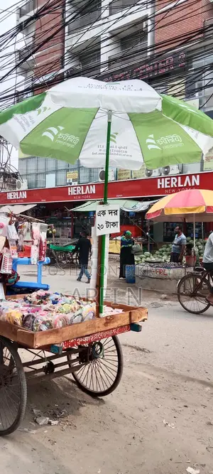 বড় ছাতা
