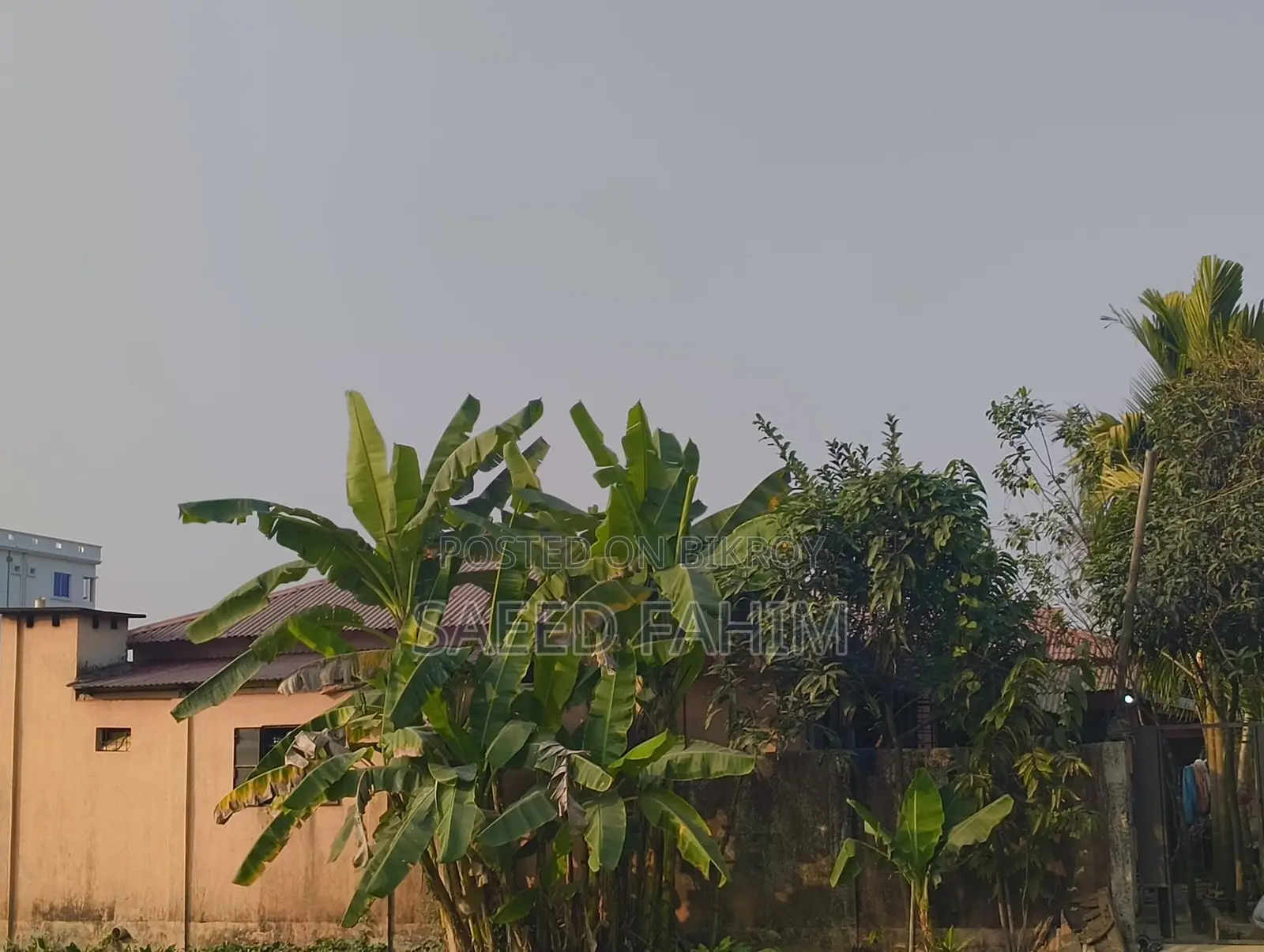 A heavy tin-shed house for sale in Sonatala