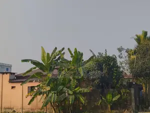 সোনাতলায় একটি হেভী টিনশেড বাড়ি বিক্রি করা হবে