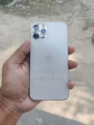 Apple iPhone 12 Pro (Used)