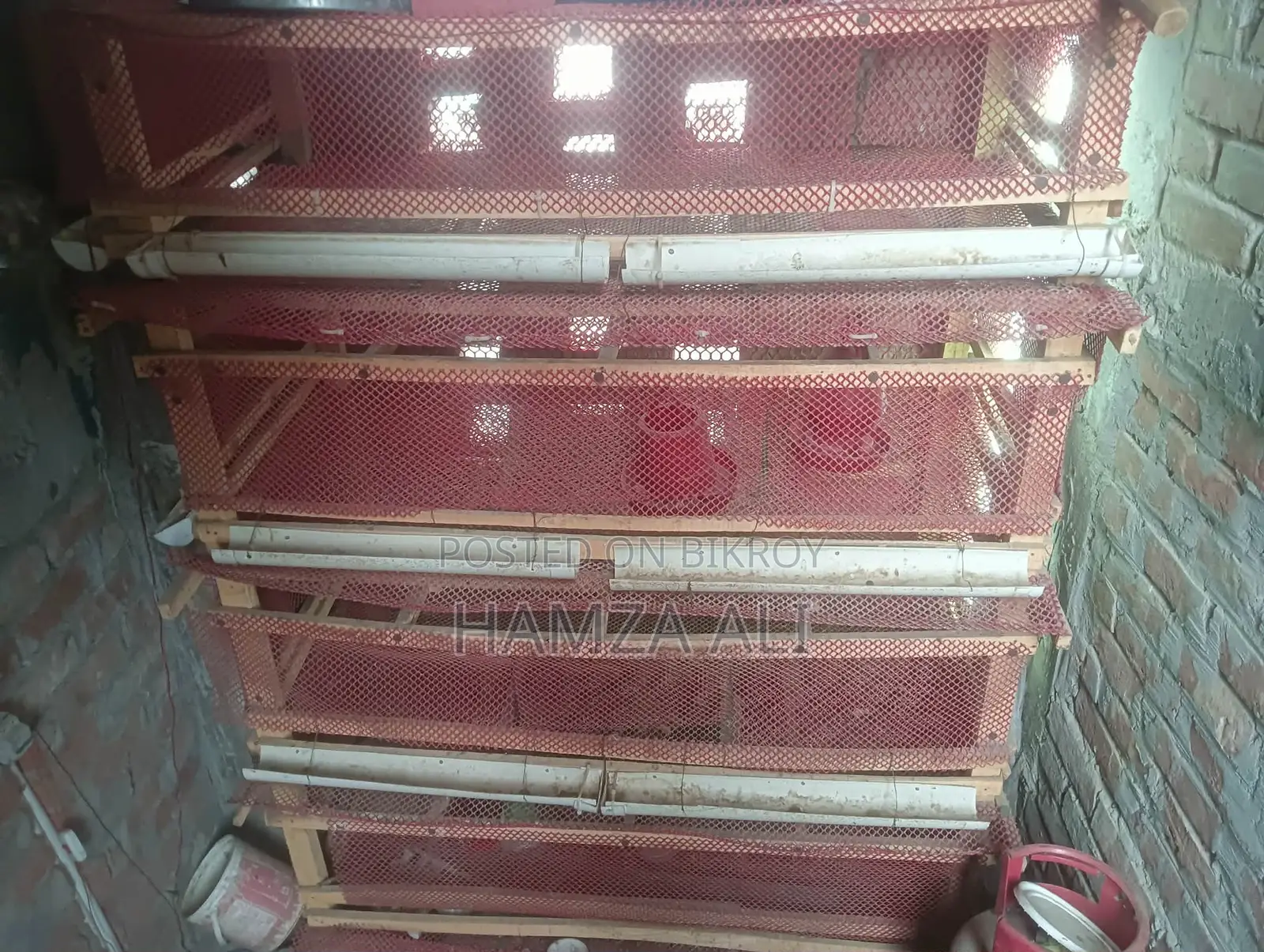 কোয়েল পাখির খাচা