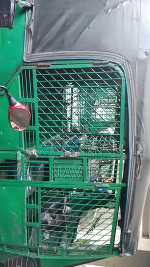 Cng with Dhaka Metro Plate
