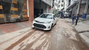Toyota Axio PUSH-EX 2020