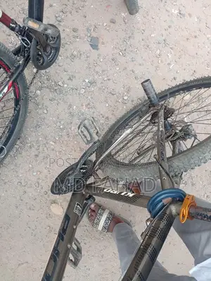 Cycle For Sale