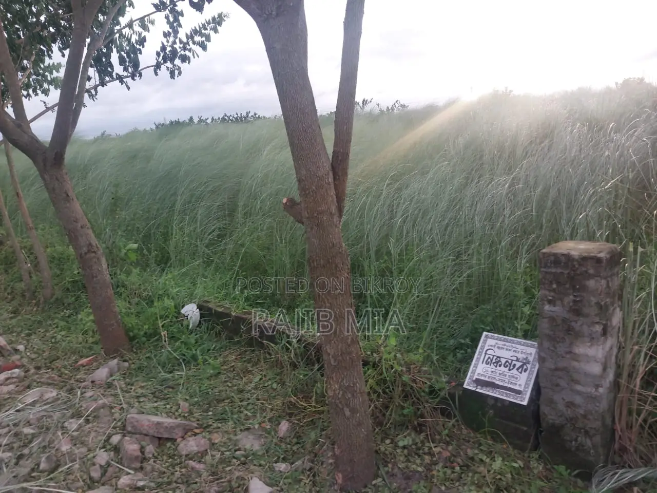 Land for Sale in a Reliable Project