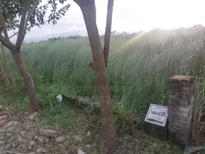 Land for Sale in a Reliable Project