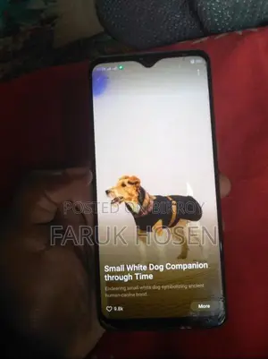OPPO F15 8/256 (Used)