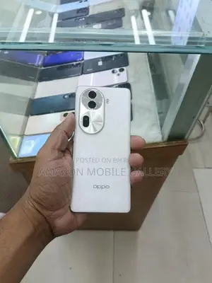 OPPO Reno 11 Pro 12/256 (Used)