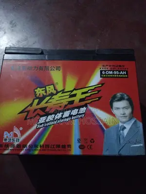 Large Battery