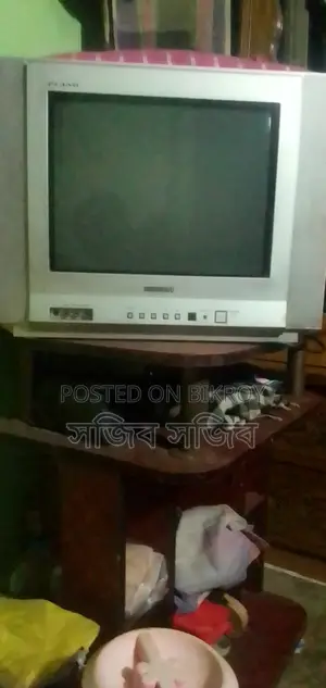 ১৪" টিভি