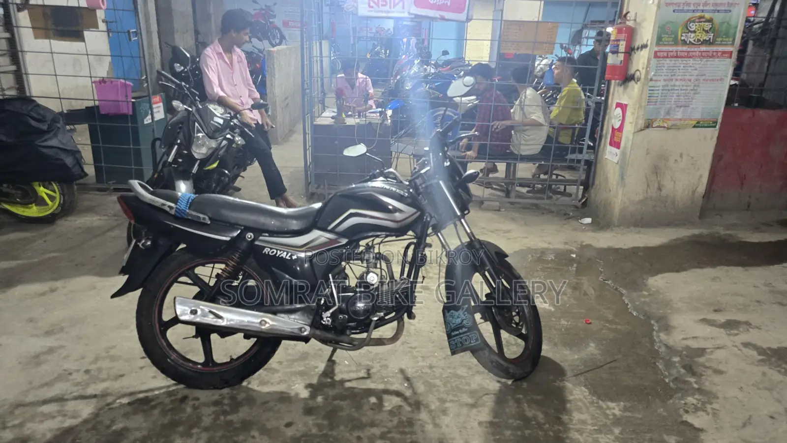 Runner Royal Plus সুপার ফ্রেশ কন্ডিশন 2020