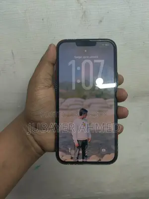 Apple iPhone 13 Pro Max (Used)