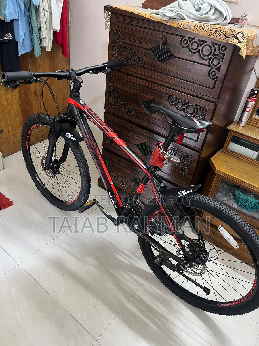 Veloce Legion 10 Cycle