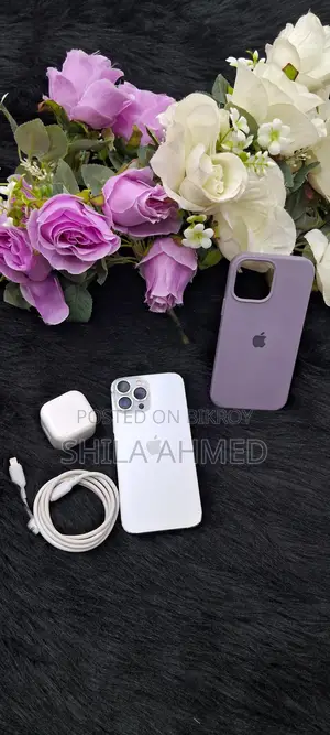 Apple iPhone 13 Pro Max 256 GB (Used)