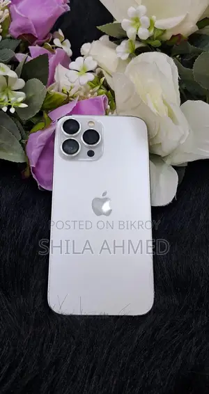 Apple iPhone 13 Pro Max 256 GB (Used)