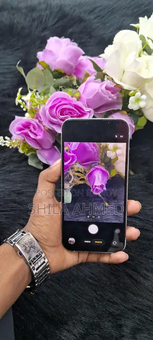 Apple iPhone 13 Pro Max 256 GB (Used)