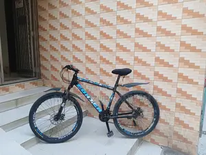 Bicycle for sale