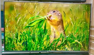 Mi-43" Inche 4K Android TV Voice Control 2+16GB