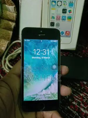 Apple iPhone 5s 32 GB Silver