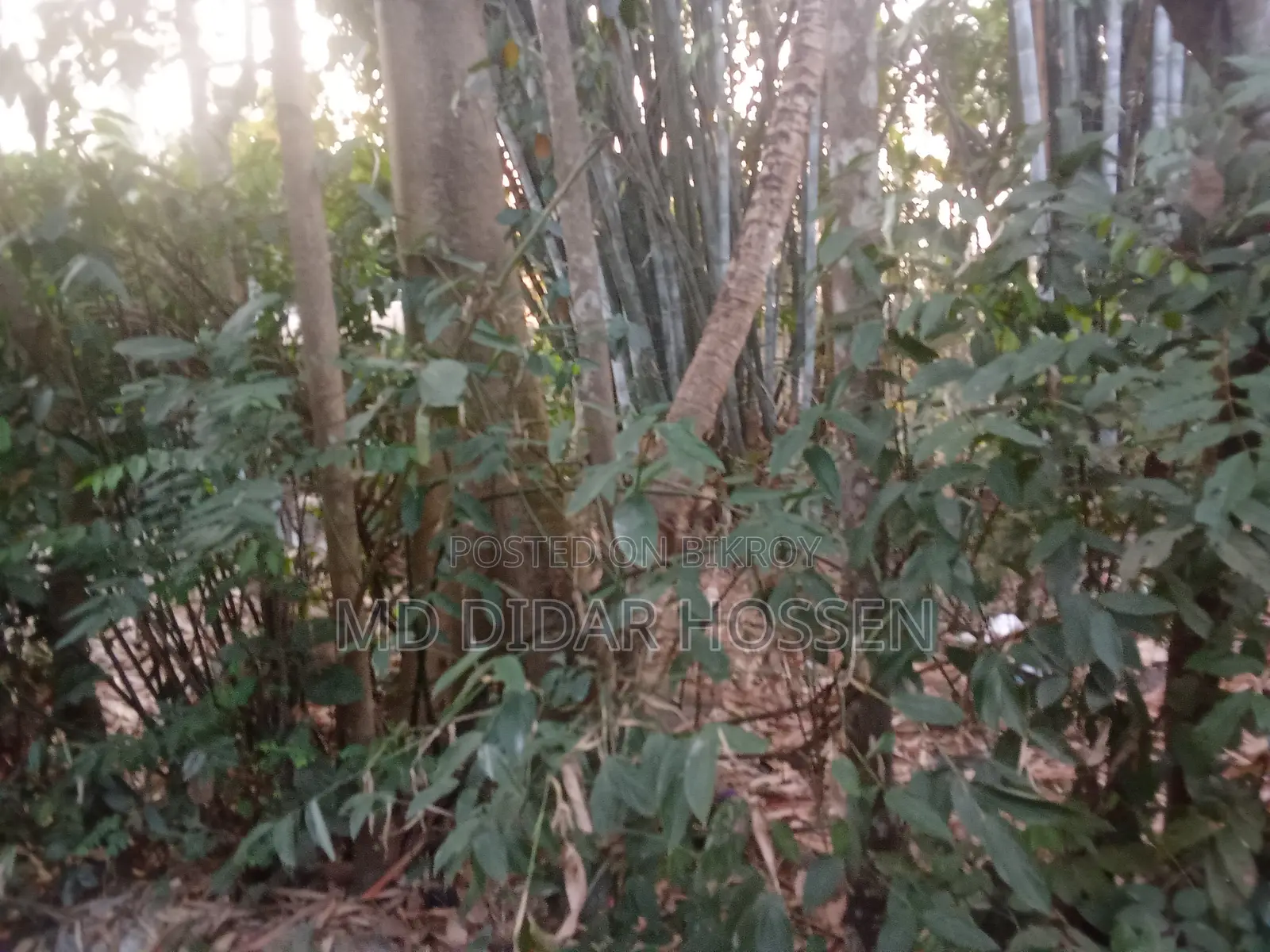 সম্পূর্ণ দায়মুক্ত, নিষ্কন্ঠক ও সাফ জায়গা বিক্রয় হবে