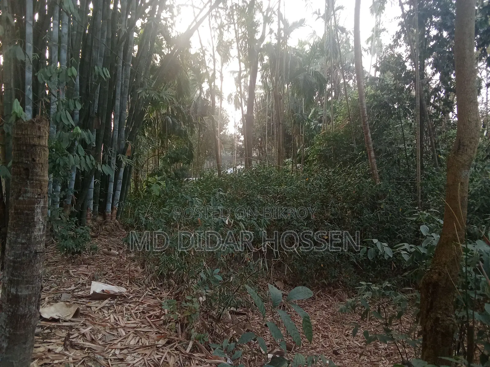 সম্পূর্ণ দায়মুক্ত, নিষ্কন্ঠক ও সাফ জায়গা বিক্রয় হবে