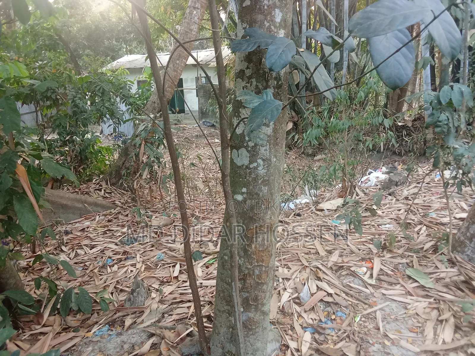সম্পূর্ণ দায়মুক্ত, নিষ্কন্ঠক ও সাফ জায়গা বিক্রয় হবে