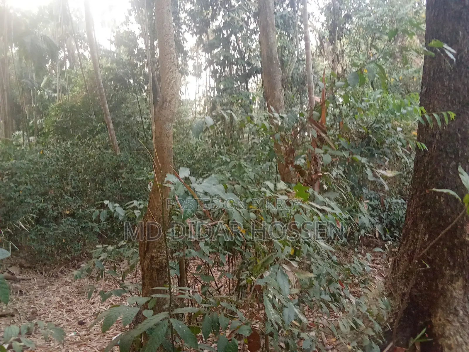 সম্পূর্ণ দায়মুক্ত, নিষ্কন্ঠক ও সাফ জায়গা বিক্রয় হবে