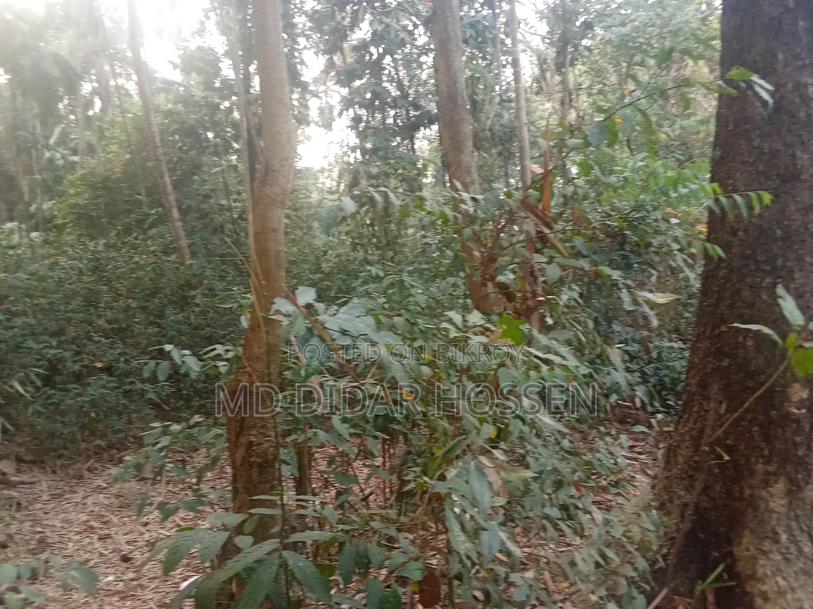 সম্পূর্ণ দায়মুক্ত, নিষ্কন্ঠক ও সাফ জায়গা বিক্রয় হবে