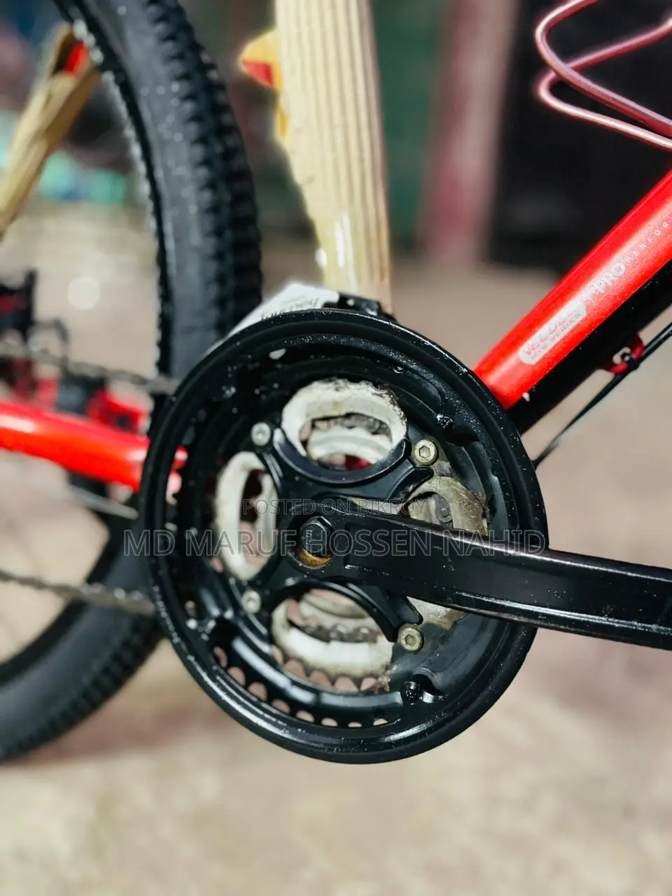 Veloce Cycle